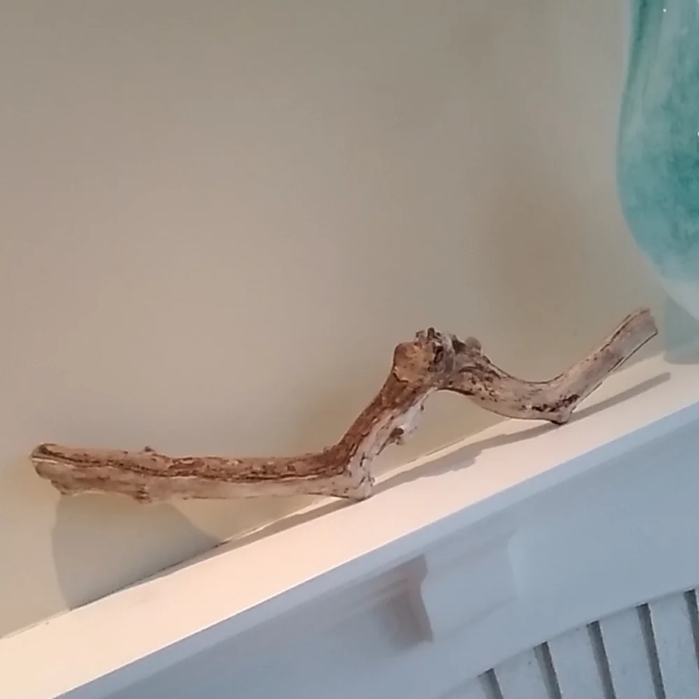 Driftwood Naturally Beautiful Home Decor Natures Pleasure Made by Mother Nature